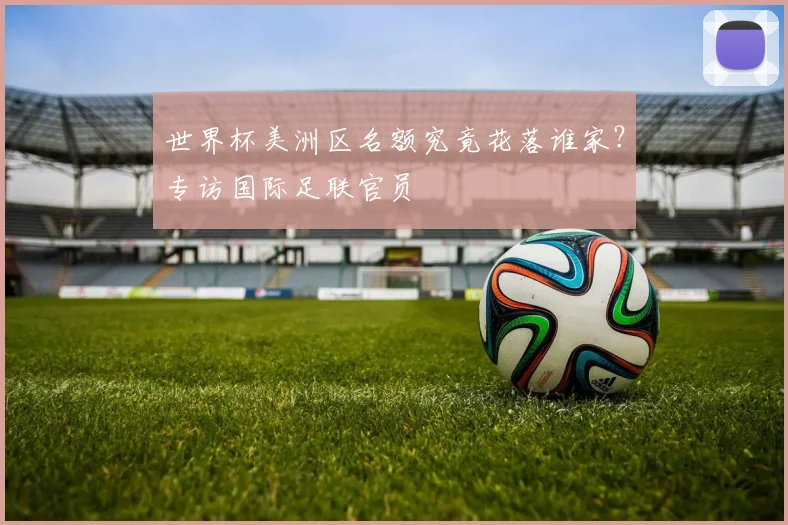 世界杯美洲区名额究竟花落谁家？专访国际足联官员