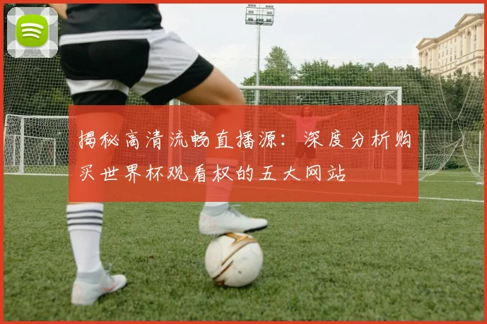 揭秘高清流畅直播源：深度分析购买世界杯观看权的五大网站