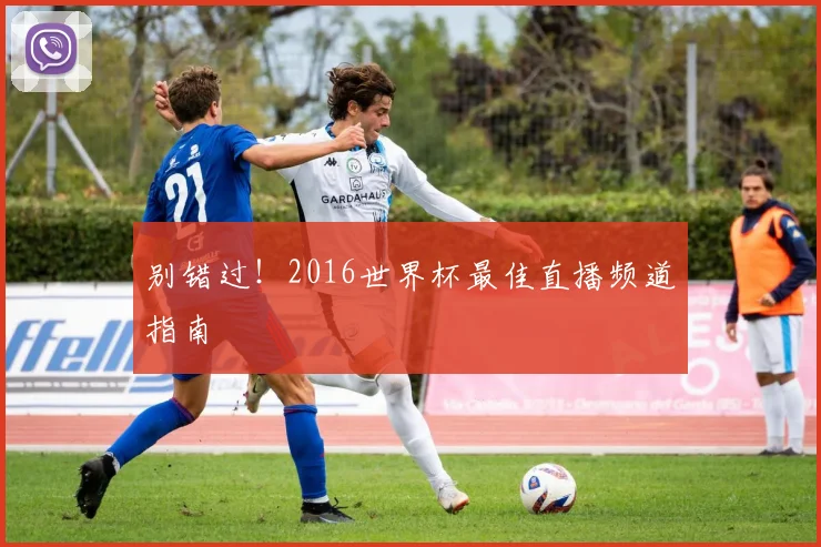 别错过！2016世界杯最佳直播频道指南