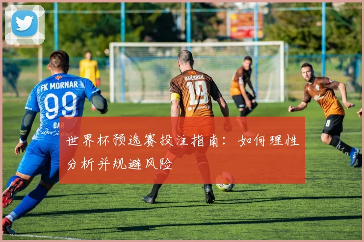 世界杯预选赛投注指南：如何理性分析并规避风险