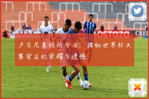 卢日尼基的雨与泪：揭秘世界杯决赛背后的荣耀与遗憾