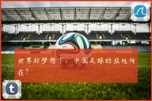 世界杯梦想下，中国足球的症结何在？