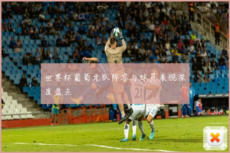 世界杯葡萄牙队阵容与球员表现深度盘点