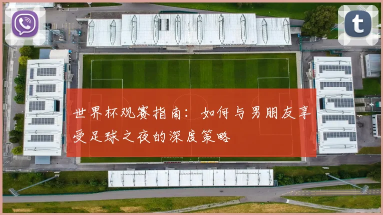 世界杯观赛指南：如何与男朋友享受足球之夜的深度策略