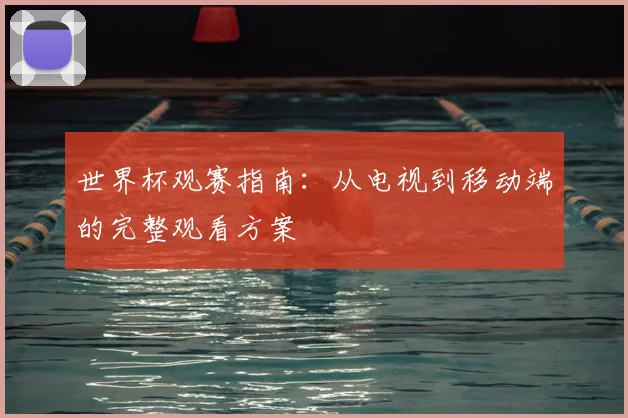 世界杯观赛指南：从电视到移动端的完整观看方案