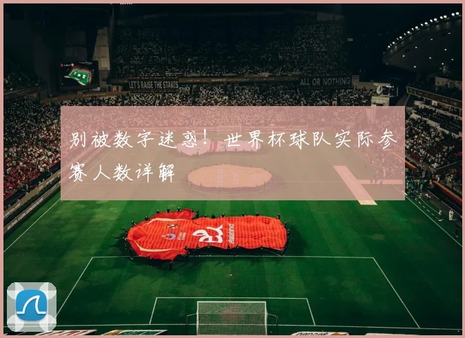 别被数字迷惑！世界杯球队实际参赛人数详解
