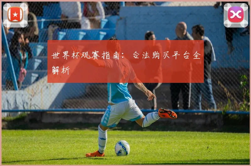 世界杯观赛指南：合法购买平台全解析