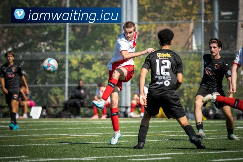 乐竞官网服务体系